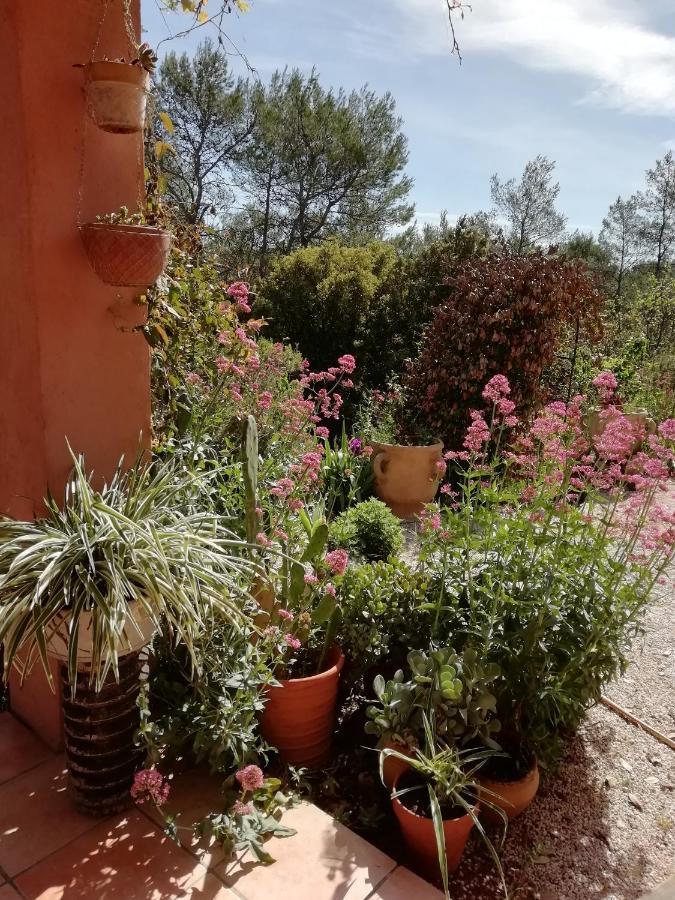 Chambre D'Hote Le Mas Des Romarins Les Arcs-sur-Argens Exterior photo